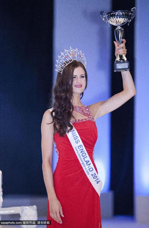 喝茶论坛网站官网首页